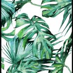 Tropical Leaves